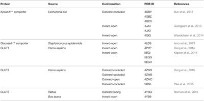 Ligand Screening Systems for Human Glucose Transporters as Tools in Drug Discovery